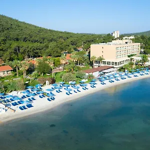 5* Hotel D -